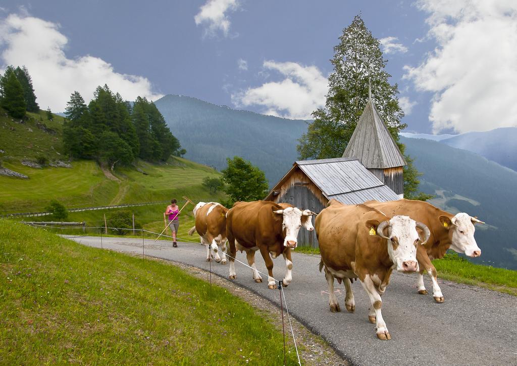 Schrunerhof Ebene Reichenau Værelse billede