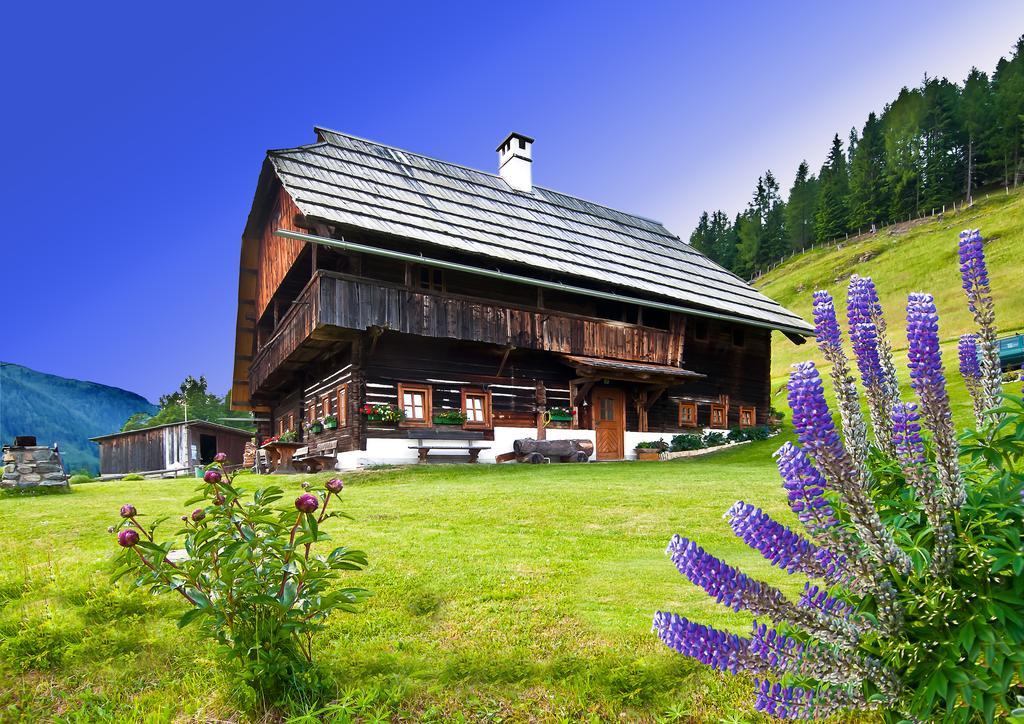 Schrunerhof Ebene Reichenau Værelse billede