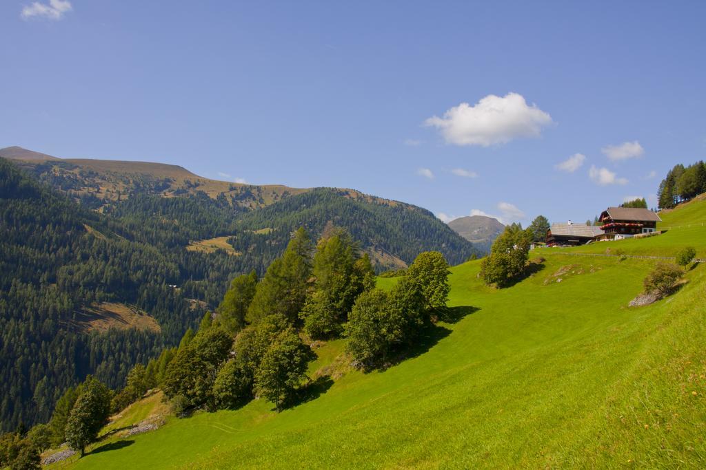 Schrunerhof Ebene Reichenau Værelse billede