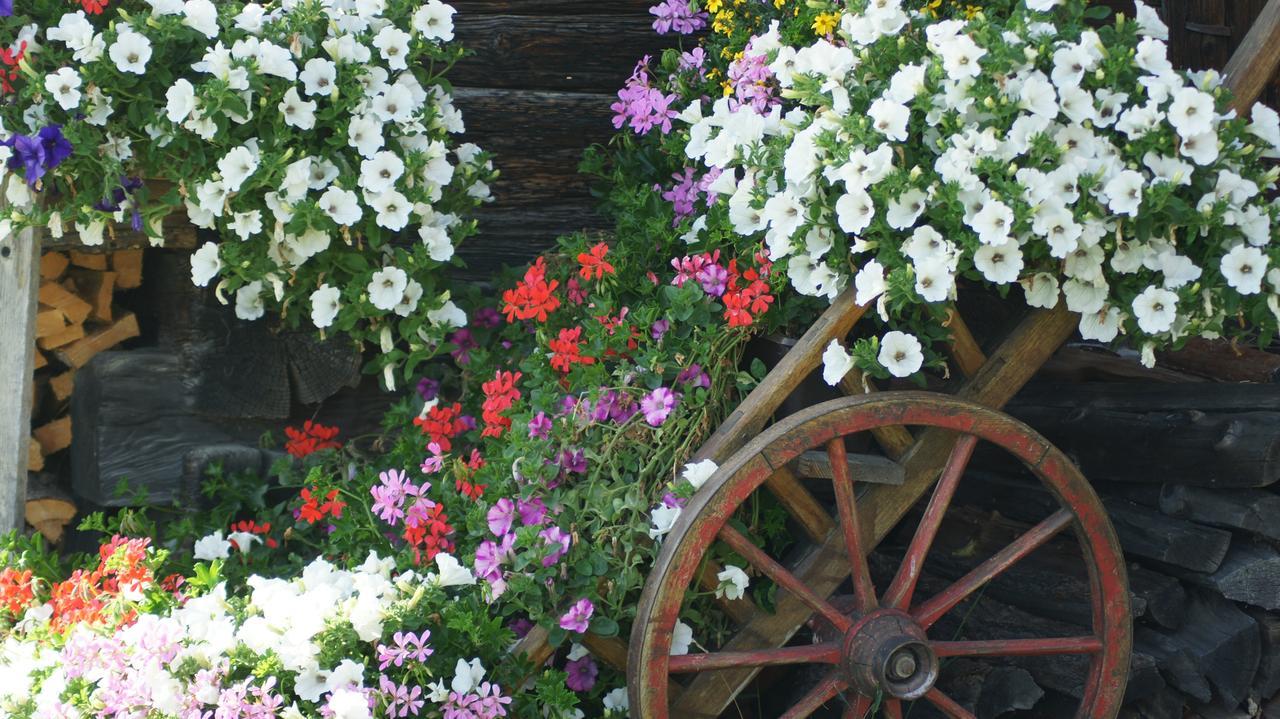 Schrunerhof Ebene Reichenau Eksteriør billede