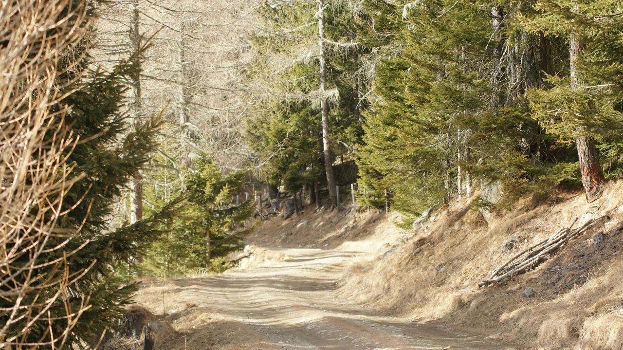 Schrunerhof Ebene Reichenau Eksteriør billede
