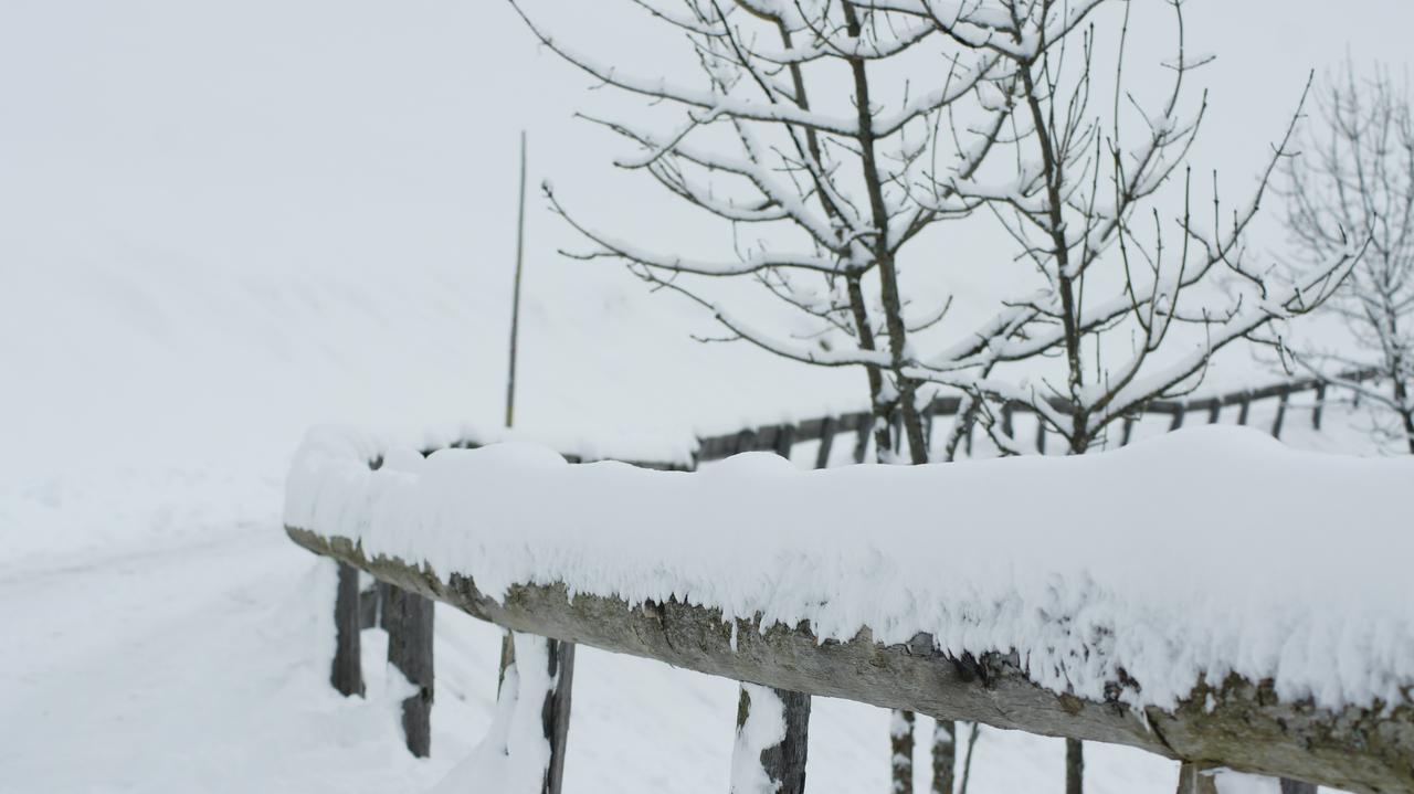 Schrunerhof Ebene Reichenau Eksteriør billede
